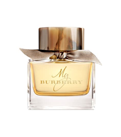 whats the best burberry perfume|best smelling Burberry.